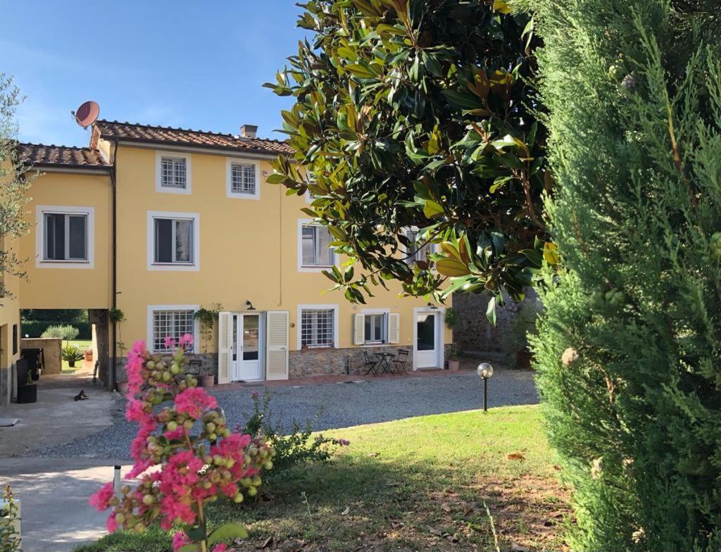 Intero Alloggio Campagna Lucca Capannori Bagian luar foto