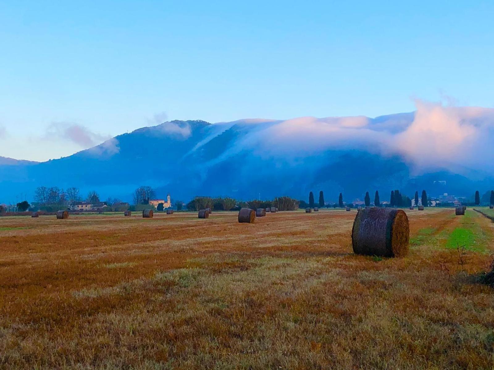 Intero Alloggio Campagna Lucca Capannori Bagian luar foto