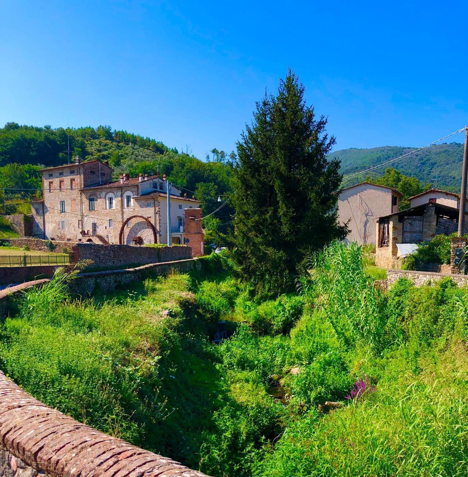 Intero Alloggio Campagna Lucca Capannori Bagian luar foto